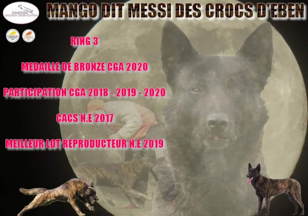 Mango dit messi des crocs d'eben